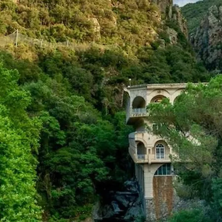 Confortable Avec Animaux Admis Et Wifi - Fr-1-703-224 * Amélie-les-Bains-Palalda