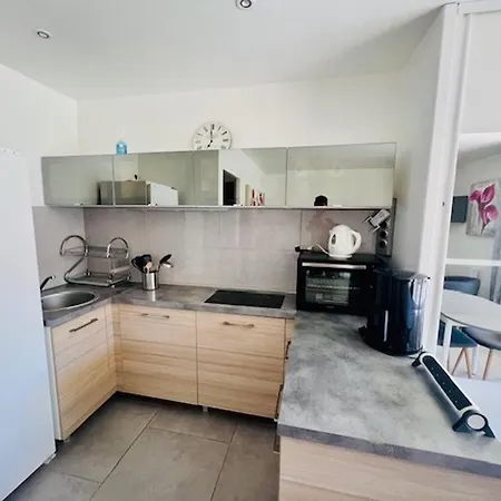 Apartment Confortable Avec Animaux Admis Et Wifi - Fr-1-703-224