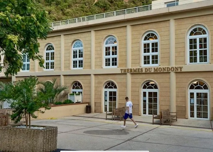 Apartment Confortable Avec Animaux Admis Et Wifi - Fr-1-703-224 Amélie-les-Bains-Palalda